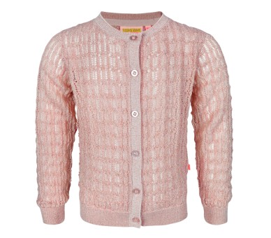 SOMEONE : gilet lange mouwen soft pink