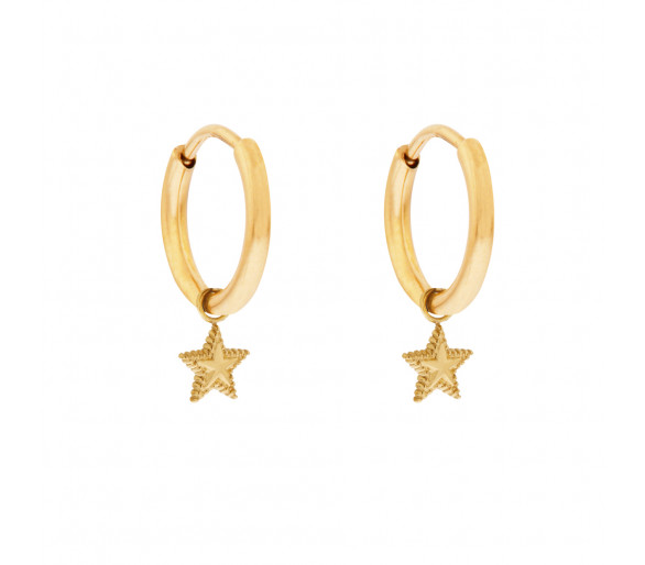 Grandes boucles d'oreilles avec un pendentif étoile à pois