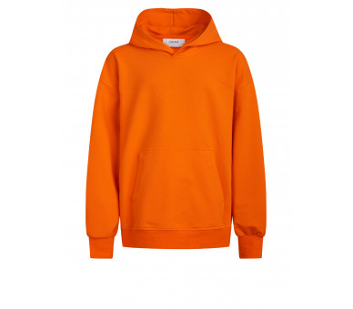 GRUNT : Zachte effen hoody