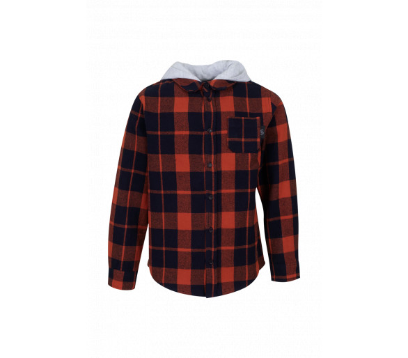 AWESOME by SOMEONE : Geruit hemd in flanel