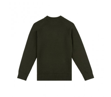 LYLE & SCOTT : Gebreide pullover