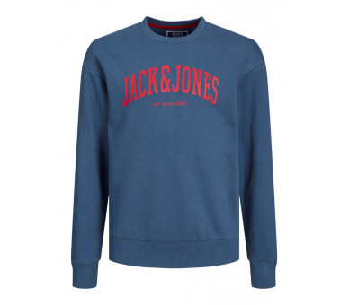 JACK & JONES : Leuke sweater met ronde hals