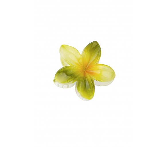 Haarclip Hawaii bloem - groen
