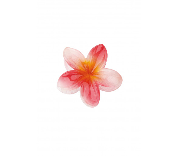 Haarclip Hawaii bloem - rood