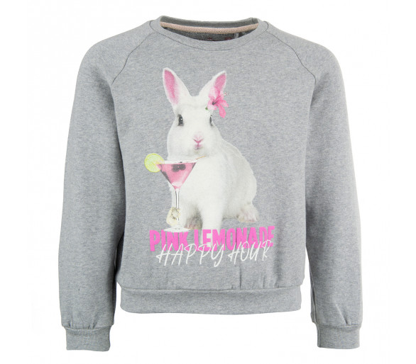 STONES AND BONES : Sweater ronde hals lemonade
