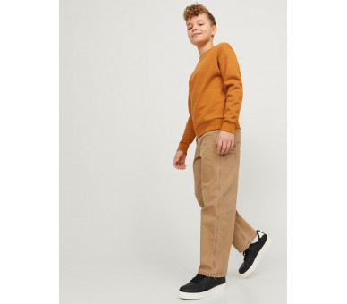JACK & JONES : BROEK