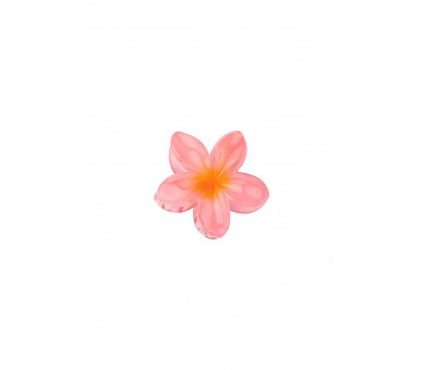 Hawaii dream hair clip - pink