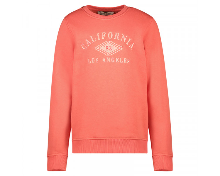 CARS : Leuke sweater "CALIFONIA"