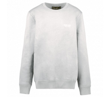 CARS : Must-have sweater met ronde hals