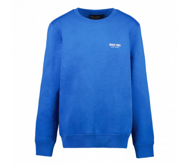 CARS : Must-have sweater met ronde hals