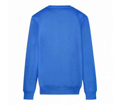 CARS : Must-have sweater met ronde hals