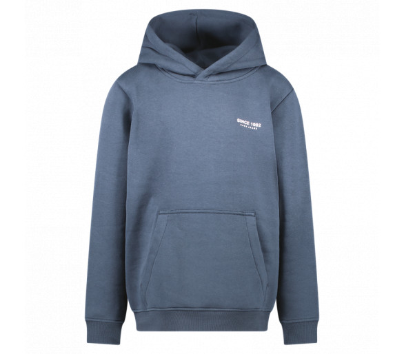 CARS : Zachte hoodie met kleine print vooraan