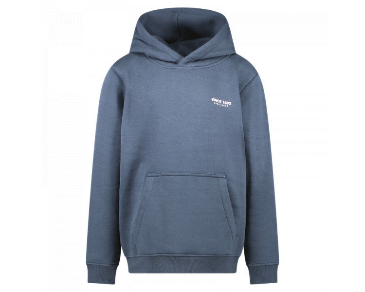 CARS : Zachte hoodie met kleine print vooraan