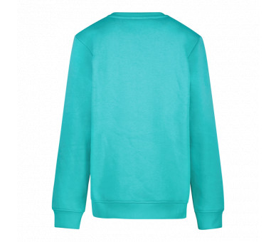 CARS : Must-have sweater met ronde hals