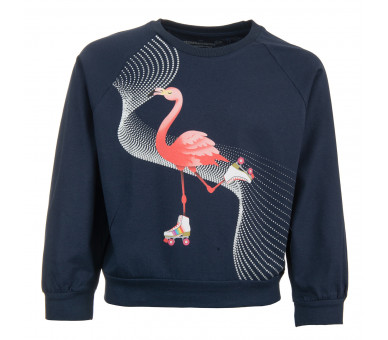 STONES AND BONES : T-shirt lm met schaatsende flamingo