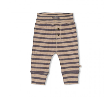 FEETJE : Ribbed trousers with stripes - Camp Wilde