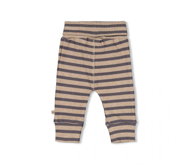 FEETJE : Ribbed trousers with stripes - Camp Wilde