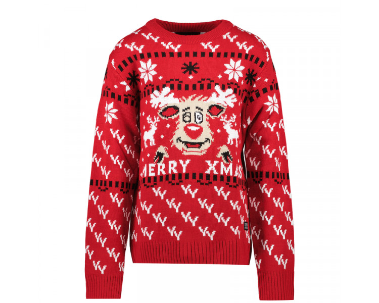 CARS : Super leuke kerstpull