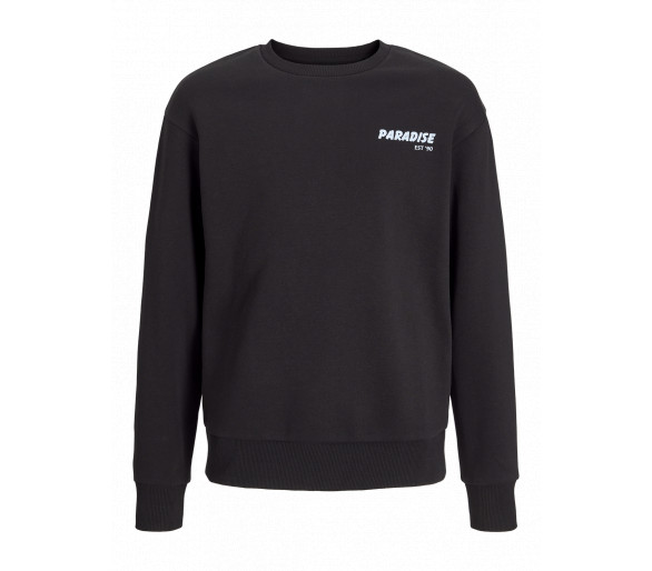 JACK & JONES : Joli pull avec imprimé devant et dos