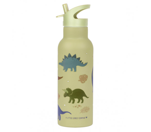 Stainless Steel Drinking Bottle XL Dinosaurs 500ml