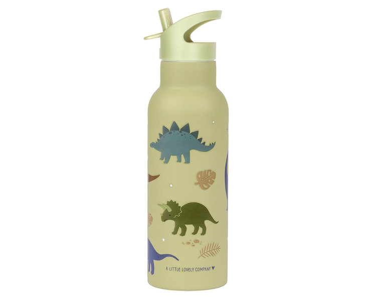 Stainless Steel Drinking Bottle XL Dinosaurs 500ml