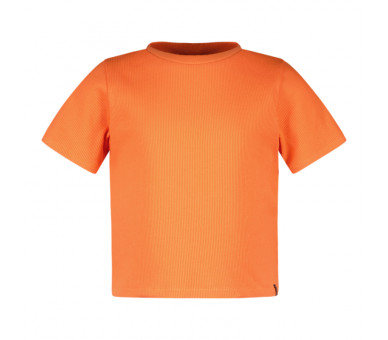 CARS : Aanpassend croped t-shirt in fijne rib