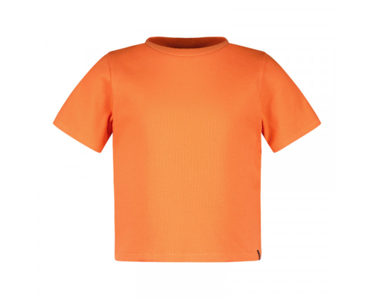 CARS : Aanpassend croped t-shirt in fijne rib