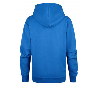 PETROL : Effen sweater met logo