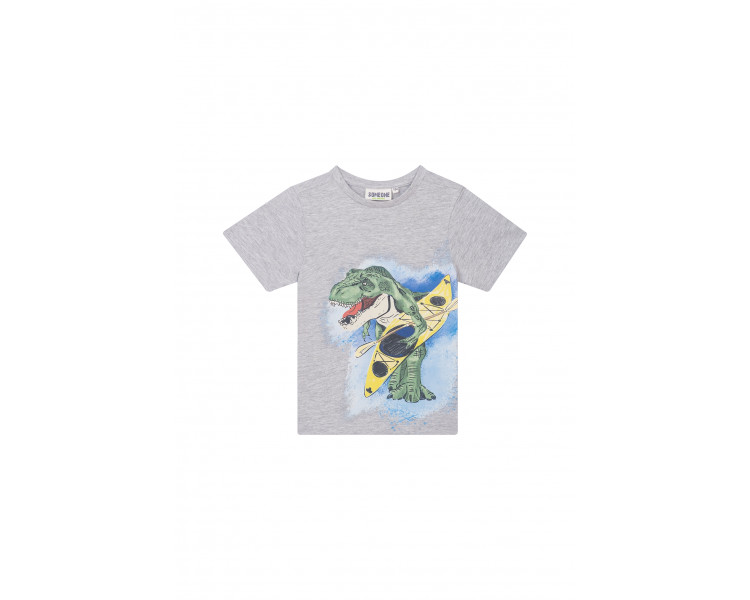 SOMEONE : T-shirt met een kanon-dino-print