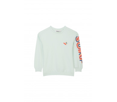 SOMEONE : Sweater met surfborduursel op de borst