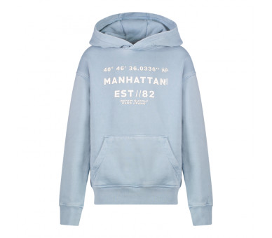 CARS : Hoodie met print vooraan