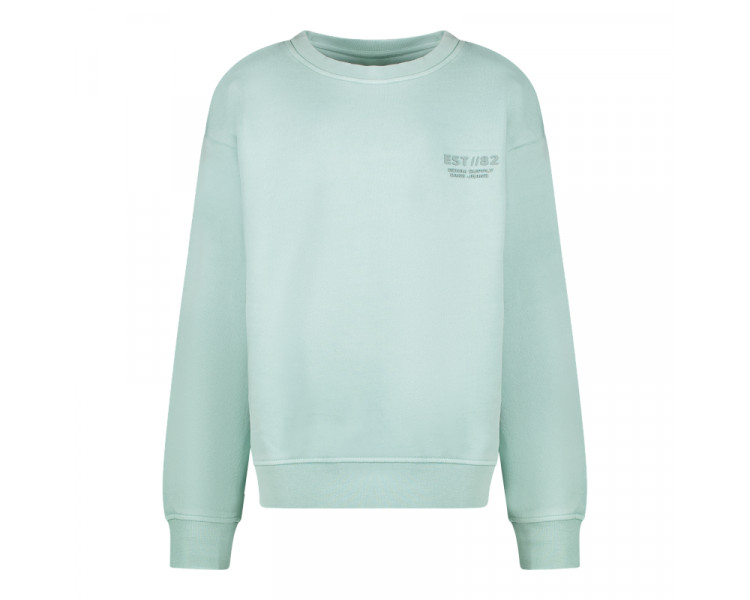 CARS : Sweater met print voor en achteraan