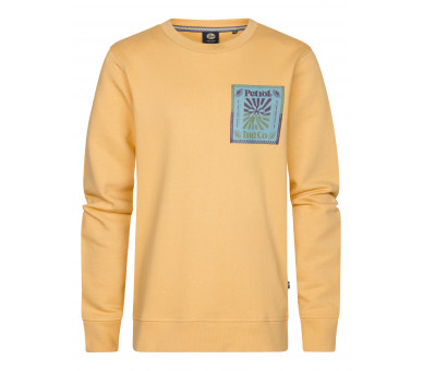 PETROL : Sweater met print voor en achteraan