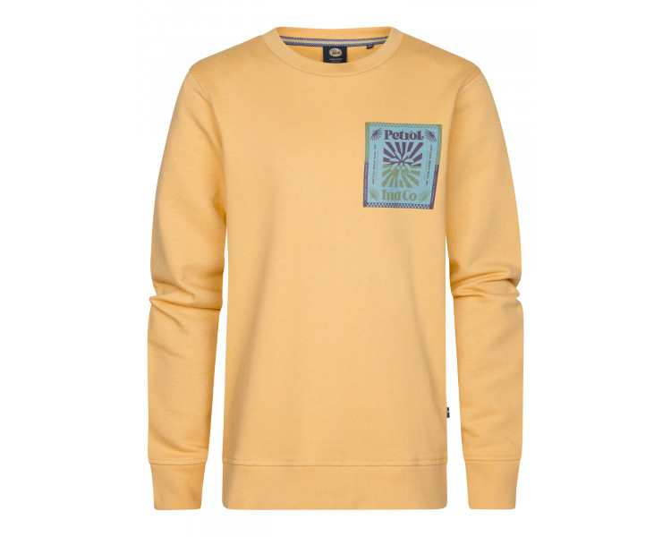 PETROL : Sweater met print voor en achteraan