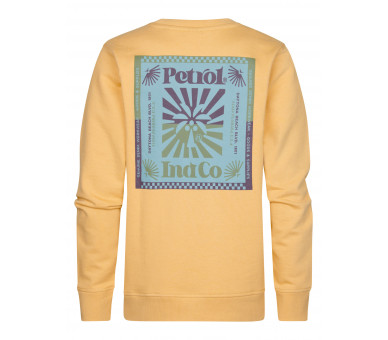 PETROL : Sweater met print voor en achteraan