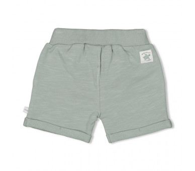 FEETJE : Shorts - Turtelly Cool SeaGreen