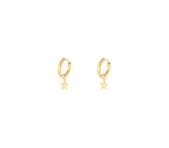 Oorbellen Star Gold Stainless Steel