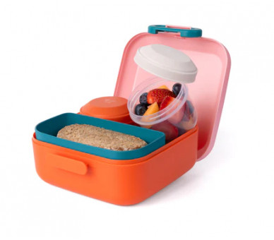 Top lunchbox bento kids lievenheersbeestje