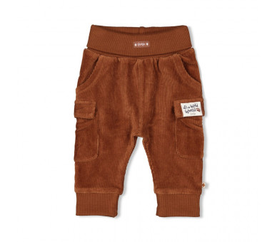 FEETJE : Pair of trousers velours rib - Wild World