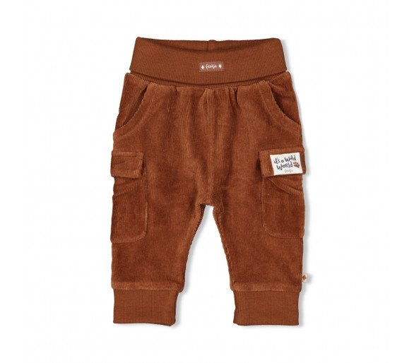 FEETJE : Pair of trousers velours rib - Wild World