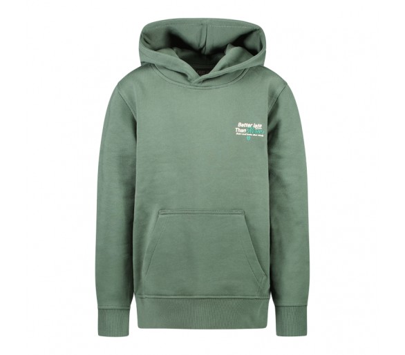 CARS : Hoodie with print on the back