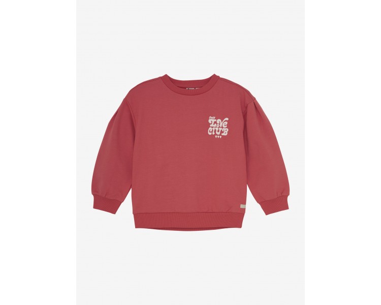 DAILY SEVEN : Trui met geborstelde print