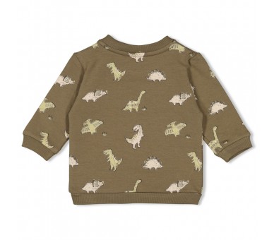 FEETJE : Sweater AOP - Rawrsome