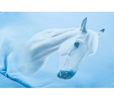 SOMEONE : Trui met lange mouwen