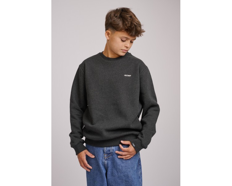 Antwrp : Popcorn Sweater