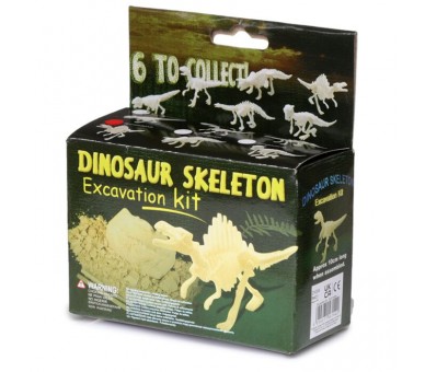 Mini Kit Fouille Squelette de Dinosaure