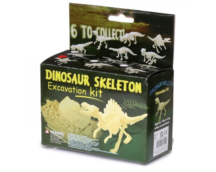 Mini Kit Fouille Squelette de Dinosaure