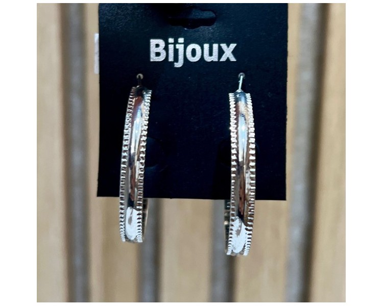 Boucles d'oreilles tendance couleur argent