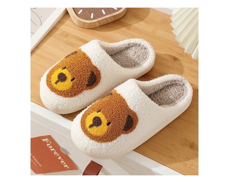 Pantoffels : Beer op beige achtergrond