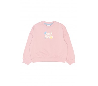 THE NEW : Sweatshirt Silver Pink